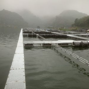 Phao Nhua Hdpe Nuoi Hau Lam Be 2