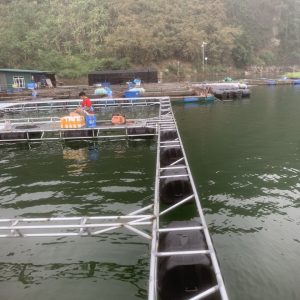 Phao Nhua Hdpe Nuoi Hau Lam Be