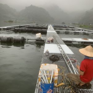 Phao Nhua Hdpe Nuoi Hau Lam Be 4