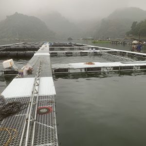 Phao Nhua Hdpe Nuoi Hau Lam Be 5