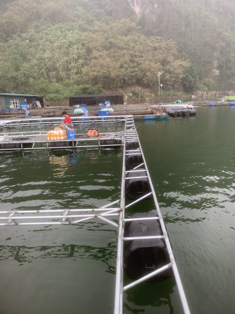 Phao Nhua Hdpe Nuoi Hau Lam Be